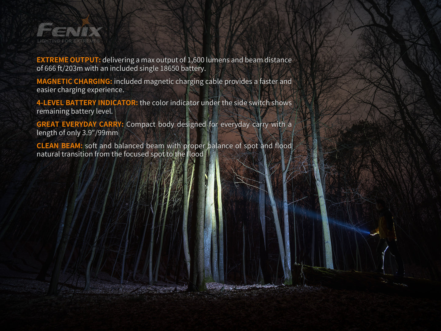 FENIX E30R Magnetic Recharageable Flashlight